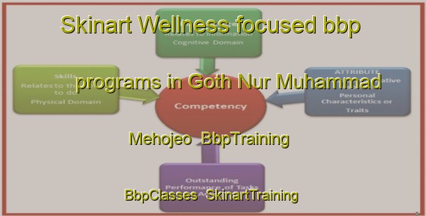 Skinart Wellness-focused bbp programs in Goth Nur Muhammad Mehojeo | BbpTraining | BbpClasses | SkinartTraining-Pakistan