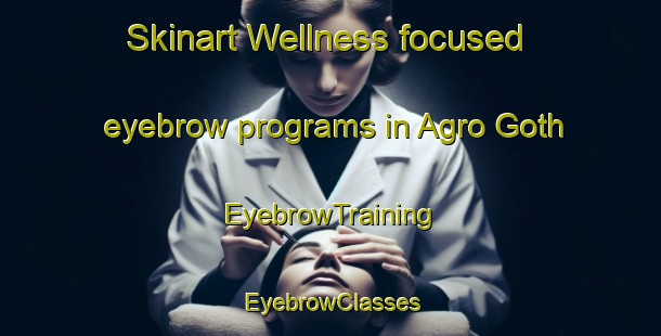 Skinart Wellness-focused eyebrow programs in Agro Goth | EyebrowTraining | EyebrowClasses | SkinartTraining-Pakistan