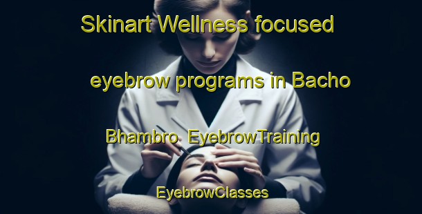 Skinart Wellness-focused eyebrow programs in Bacho Bhambro | EyebrowTraining | EyebrowClasses | SkinartTraining-Pakistan