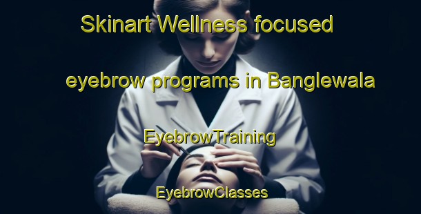 Skinart Wellness-focused eyebrow programs in Banglewala | EyebrowTraining | EyebrowClasses | SkinartTraining-Pakistan