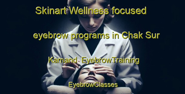 Skinart Wellness-focused eyebrow programs in Chak Sur Kamand | EyebrowTraining | EyebrowClasses | SkinartTraining-Pakistan