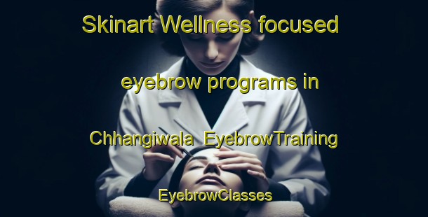 Skinart Wellness-focused eyebrow programs in Chhangiwala | EyebrowTraining | EyebrowClasses | SkinartTraining-Pakistan