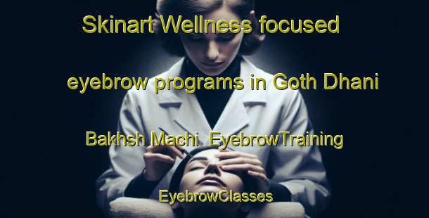 Skinart Wellness-focused eyebrow programs in Goth Dhani Bakhsh Machi | EyebrowTraining | EyebrowClasses | SkinartTraining-Pakistan