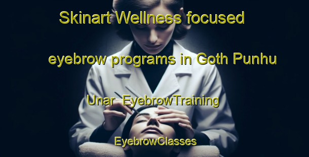 Skinart Wellness-focused eyebrow programs in Goth Punhu Unar | EyebrowTraining | EyebrowClasses | SkinartTraining-Pakistan