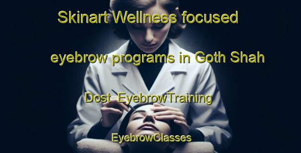 Skinart Wellness-focused eyebrow programs in Goth Shah Dost | EyebrowTraining | EyebrowClasses | SkinartTraining-Pakistan