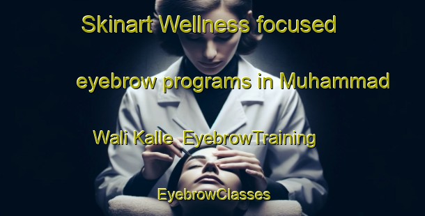 Skinart Wellness-focused eyebrow programs in Muhammad Wali Kalle | EyebrowTraining | EyebrowClasses | SkinartTraining-Pakistan