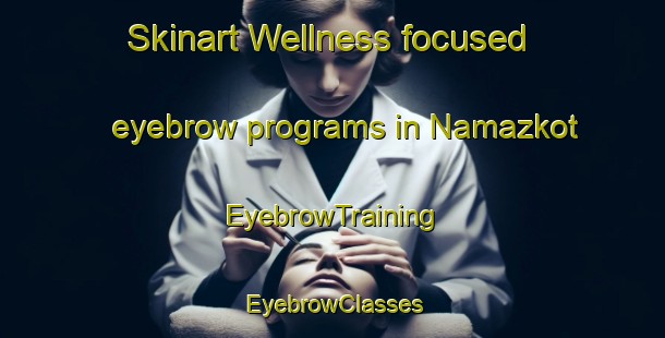 Skinart Wellness-focused eyebrow programs in Namazkot | EyebrowTraining | EyebrowClasses | SkinartTraining-Pakistan