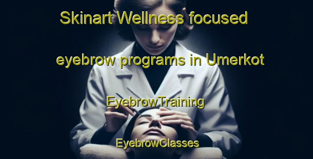 Skinart Wellness-focused eyebrow programs in Umerkot | EyebrowTraining | EyebrowClasses | SkinartTraining-Pakistan