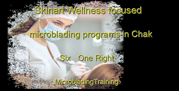 Skinart Wellness-focused microblading programs in Chak Six   One Right | MicrobladingTraining | MicrobladingClasses | SkinartTraining-Pakistan