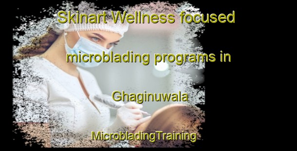 Skinart Wellness-focused microblading programs in Ghaginuwala | MicrobladingTraining | MicrobladingClasses | SkinartTraining-Pakistan