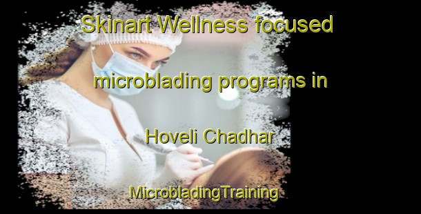 Skinart Wellness-focused microblading programs in Hoveli Chadhar | MicrobladingTraining | MicrobladingClasses | SkinartTraining-Pakistan