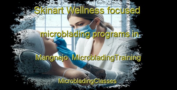 Skinart Wellness-focused microblading programs in Mangnejo | MicrobladingTraining | MicrobladingClasses | SkinartTraining-Pakistan