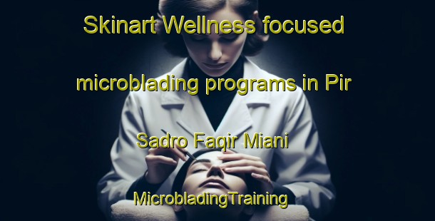Skinart Wellness-focused microblading programs in Pir Sadro Faqir Miani | MicrobladingTraining | MicrobladingClasses | SkinartTraining-Pakistan