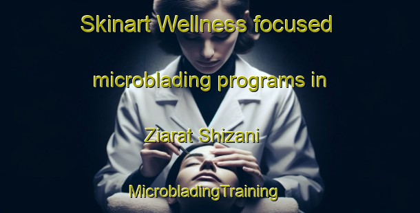 Skinart Wellness-focused microblading programs in Ziarat Shizani | MicrobladingTraining | MicrobladingClasses | SkinartTraining-Pakistan