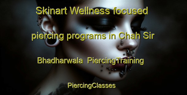 Skinart Wellness-focused piercing programs in Chah Sir Bhadharwala | PiercingTraining | PiercingClasses | SkinartTraining-Pakistan