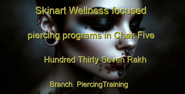 Skinart Wellness-focused piercing programs in Chak Five Hundred Thirty Seven Rakh Branch | PiercingTraining | PiercingClasses | SkinartTraining-Pakistan