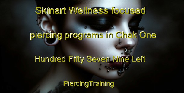 Skinart Wellness-focused piercing programs in Chak One Hundred Fifty Seven Nine Left | PiercingTraining | PiercingClasses | SkinartTraining-Pakistan