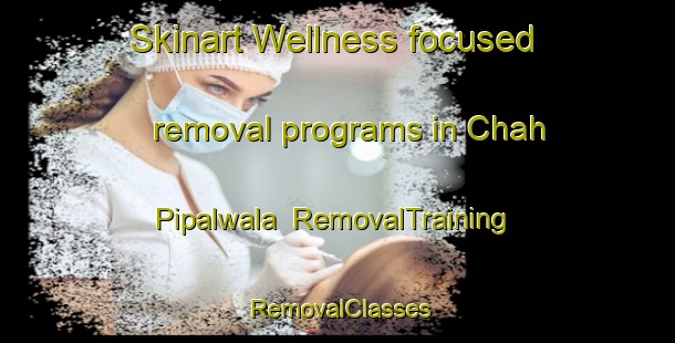 Skinart Wellness-focused removal programs in Chah Pipalwala | RemovalTraining | RemovalClasses | SkinartTraining-Pakistan