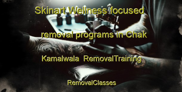 Skinart Wellness-focused removal programs in Chak Kamalwala | RemovalTraining | RemovalClasses | SkinartTraining-Pakistan