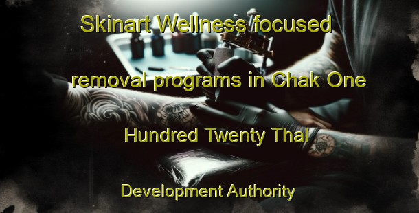 Skinart Wellness-focused removal programs in Chak One Hundred Twenty Thal Development Authority | RemovalTraining | RemovalClasses | SkinartTraining-Pakistan
