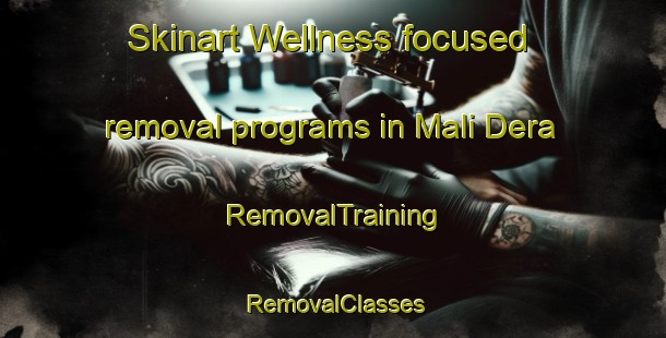 Skinart Wellness-focused removal programs in Mali Dera | RemovalTraining | RemovalClasses | SkinartTraining-Pakistan