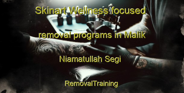 Skinart Wellness-focused removal programs in Malik Niamatullah Segi | RemovalTraining | RemovalClasses | SkinartTraining-Pakistan