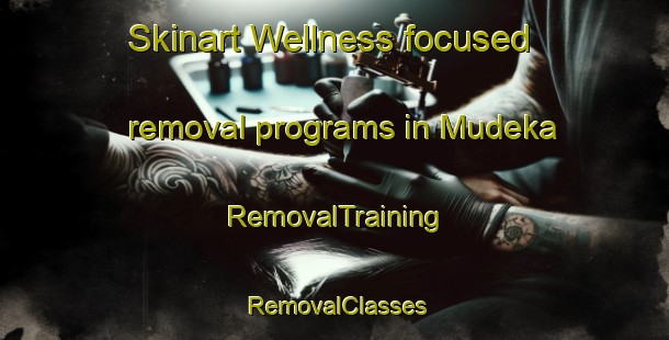 Skinart Wellness-focused removal programs in Mudeka | RemovalTraining | RemovalClasses | SkinartTraining-Pakistan