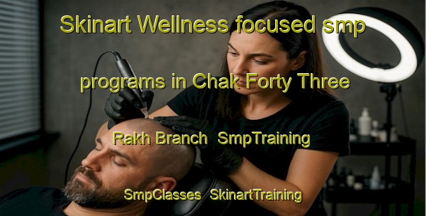 Skinart Wellness-focused smp programs in Chak Forty Three Rakh Branch | SmpTraining | SmpClasses | SkinartTraining-Pakistan