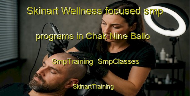 Skinart Wellness-focused smp programs in Chak Nine Ballo | SmpTraining | SmpClasses | SkinartTraining-Pakistan