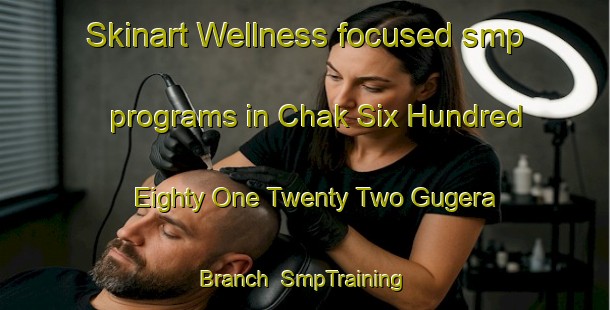 Skinart Wellness-focused smp programs in Chak Six Hundred Eighty One Twenty Two Gugera Branch | SmpTraining | SmpClasses | SkinartTraining-Pakistan