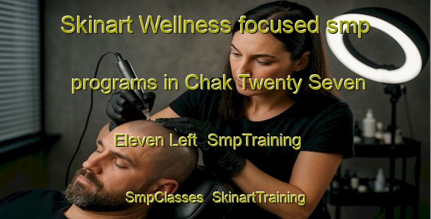 Skinart Wellness-focused smp programs in Chak Twenty Seven  Eleven Left | SmpTraining | SmpClasses | SkinartTraining-Pakistan