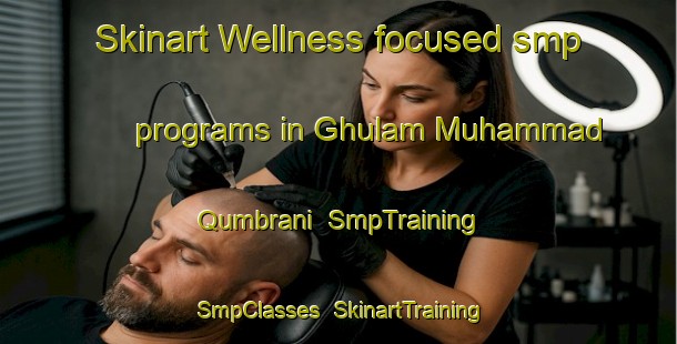 Skinart Wellness-focused smp programs in Ghulam Muhammad Qumbrani | SmpTraining | SmpClasses | SkinartTraining-Pakistan