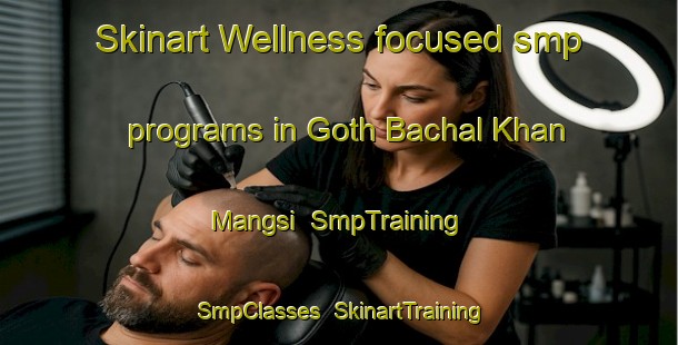 Skinart Wellness-focused smp programs in Goth Bachal Khan Mangsi | SmpTraining | SmpClasses | SkinartTraining-Pakistan