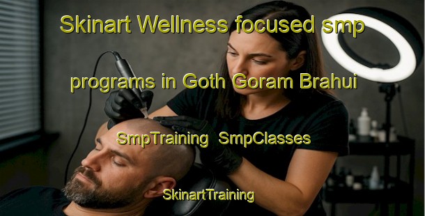Skinart Wellness-focused smp programs in Goth Goram Brahui | SmpTraining | SmpClasses | SkinartTraining-Pakistan