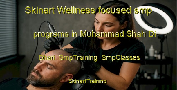 Skinart Wellness-focused smp programs in Muhammad Shah Di Dhari | SmpTraining | SmpClasses | SkinartTraining-Pakistan