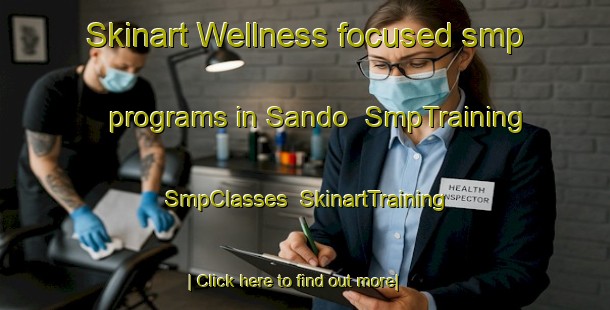 Skinart Wellness-focused smp programs in Sando | SmpTraining | SmpClasses | SkinartTraining-Pakistan