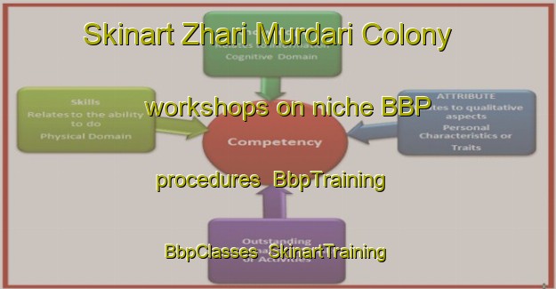 Skinart Zhari Murdari Colony workshops on niche BBP procedures | BbpTraining | BbpClasses | SkinartTraining-Pakistan