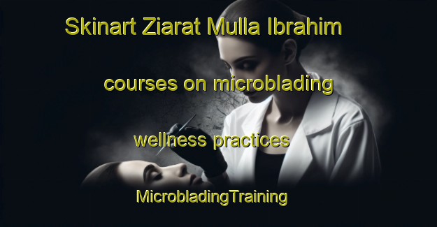 Skinart Ziarat Mulla Ibrahim courses on microblading wellness practices | MicrobladingTraining | MicrobladingClasses | SkinartTraining-Pakistan