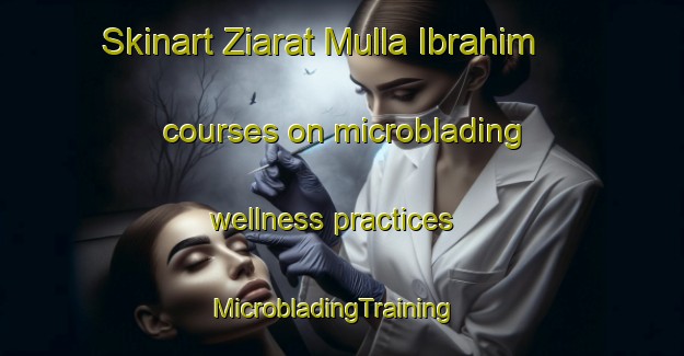 Skinart Ziarat Mulla Ibrahim courses on microblading wellness practices | MicrobladingTraining | MicrobladingClasses | SkinartTraining-Pakistan