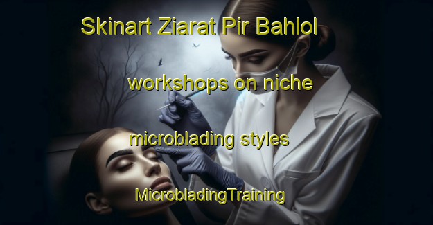Skinart Ziarat Pir Bahlol workshops on niche microblading styles | MicrobladingTraining | MicrobladingClasses | SkinartTraining-Pakistan